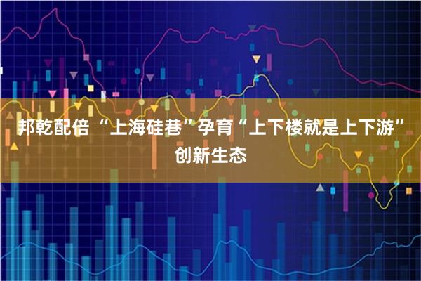 邦乾配倍 “上海硅巷”孕育“上下楼就是上下游”创新生态