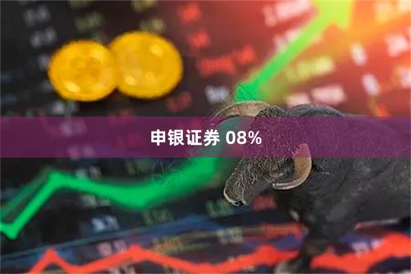 申银证券 08%