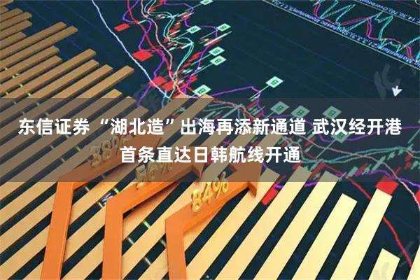 东信证券 “湖北造”出海再添新通道 武汉经开港首条直达日韩航线开通