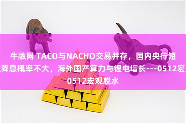 牛融网 TACO与NACHO交易并存，国内央行短期降准降息概率不大，海外国产算力与锂电增长---0512宏观脱水