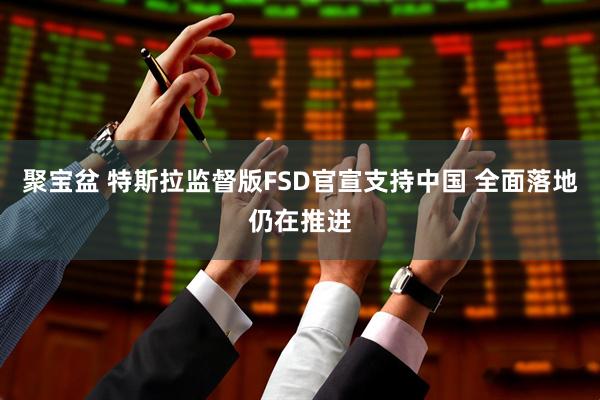 聚宝盆 特斯拉监督版FSD官宣支持中国 全面落地仍在推进