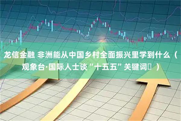 龙信金融 非洲能从中国乡村全面振兴里学到什么（观象台·国际人士谈“十五五”关键词⑭）